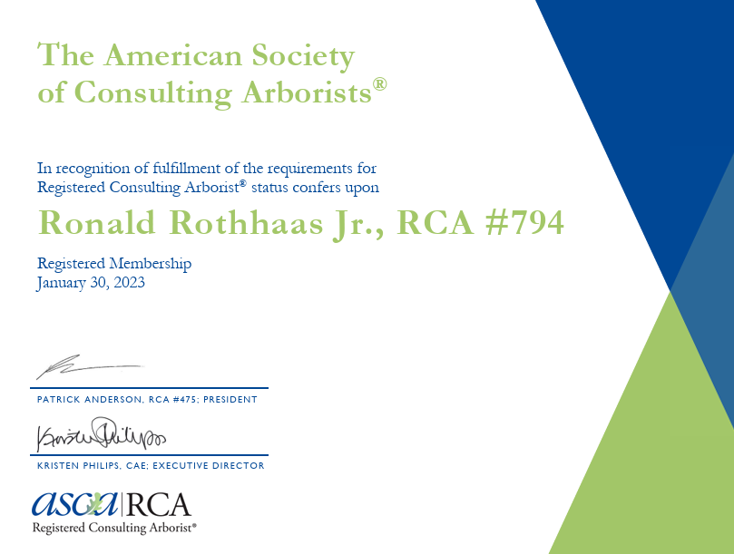 rca